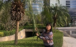 日本漫画之无彩翼漫画